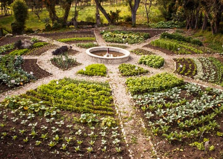 organic-garden-ecuador