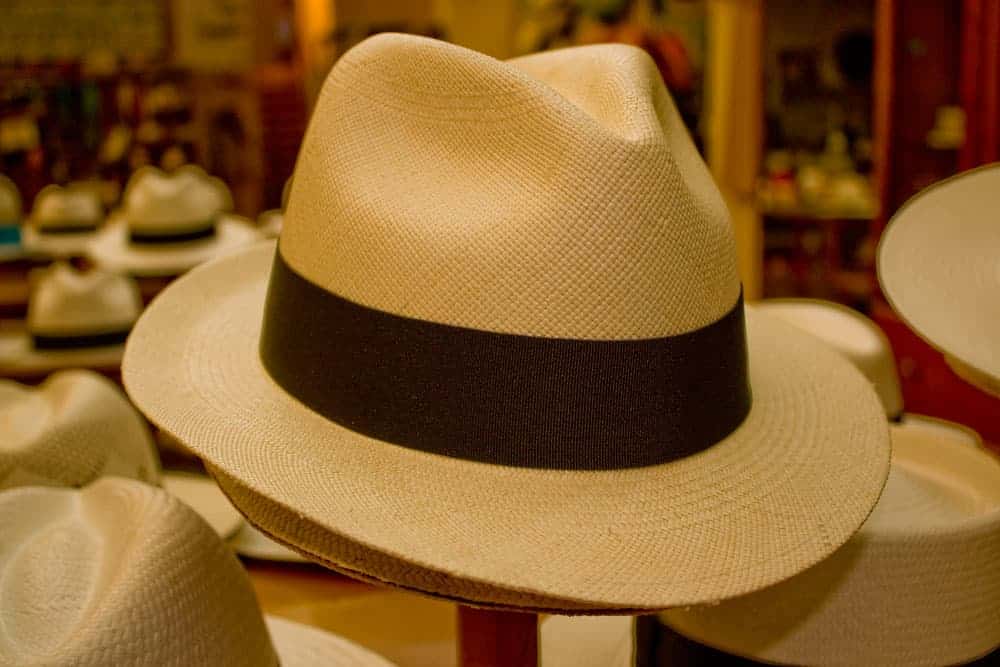 Panama Hat in Ecuador