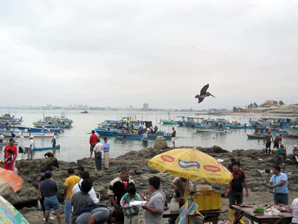 fish market on Ecuadors pacific coast