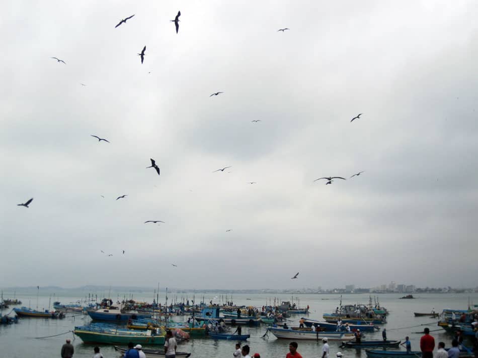 fish market on Ecuadors pacific coast