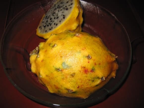 Pitahaya Dragon Fruit