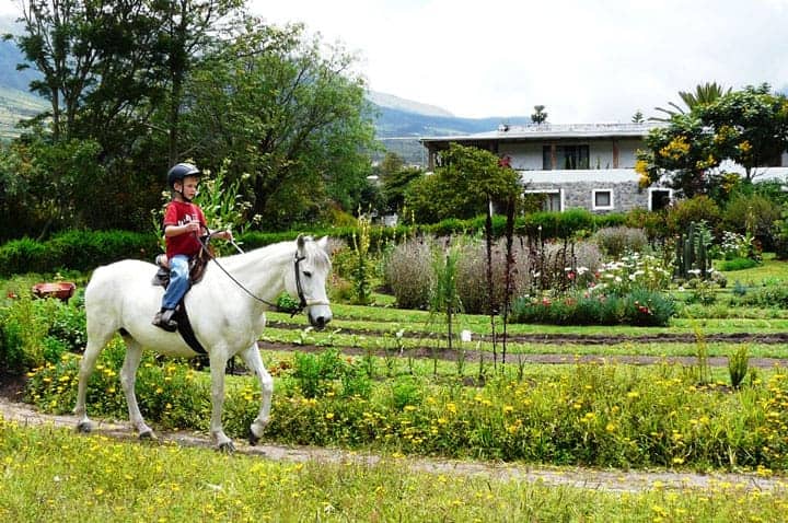 otavalo-ecuador-horse-ownership-learning-to-ride