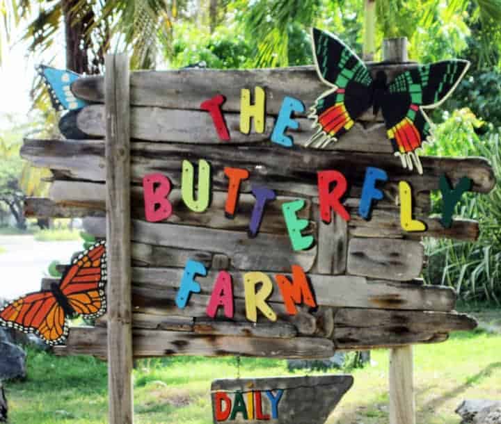 Butterfly Farm Sign in Aruba