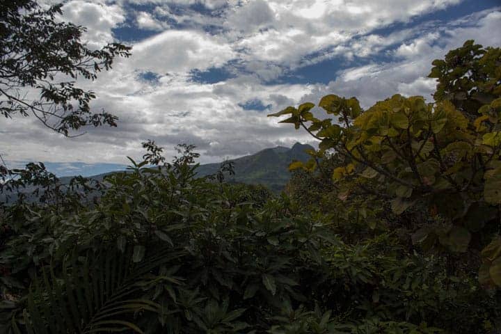 view of Yunguilla Valley from Santuario Hibiscus