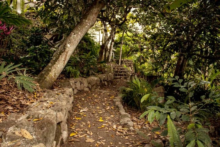 A path at Santuario Hibiscus