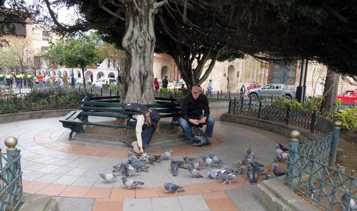 Parque Calderon feeding the birds