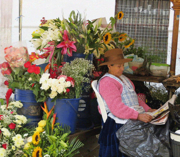 Cuenca Ecuador flower market vendor relaxing