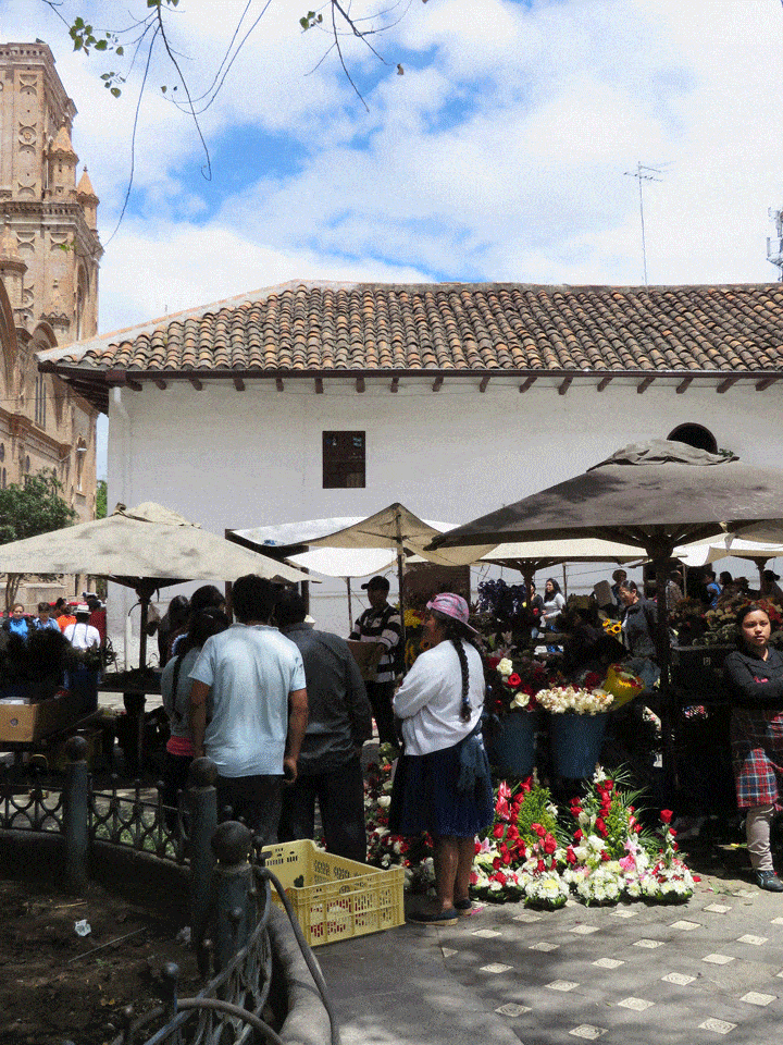 Cuenca Ecuador flower market