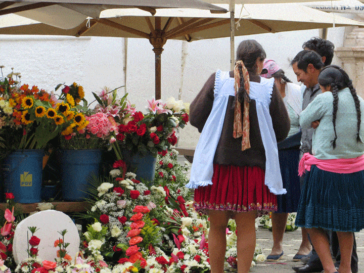 Cuenca flower market looking at flowers