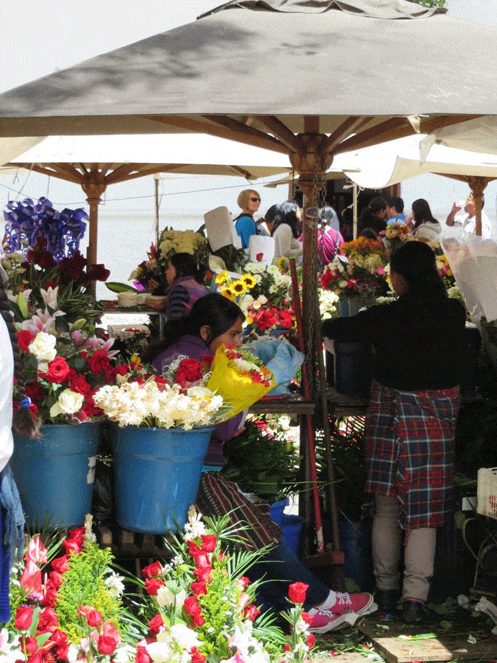 The flower market in Cuenca Ecuador