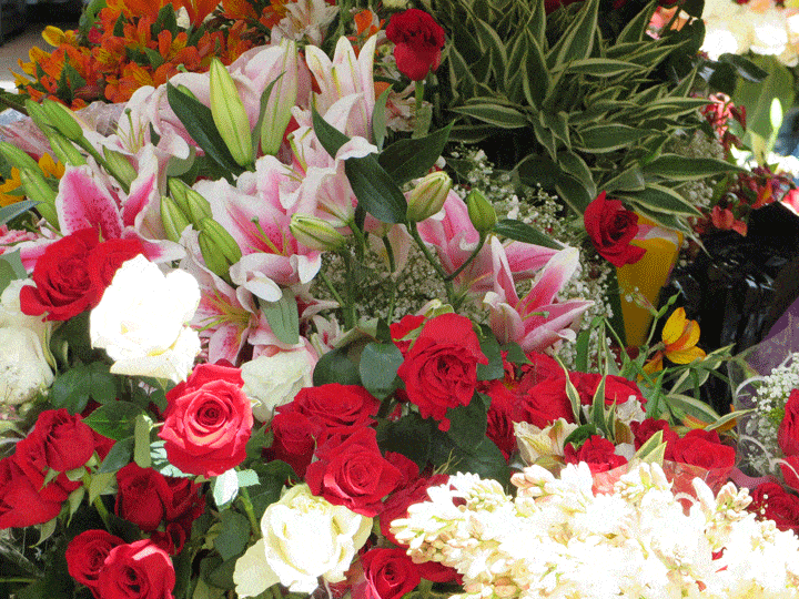 flowers at Cuenca flower market