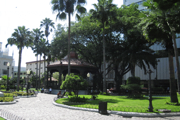 Guayaquil Ecuador Iguana Park