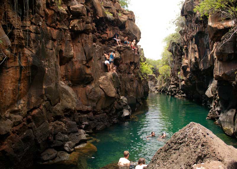 Fascinerend eiland keuken Las Grietas: Our Favorite Place to Swim on Santa Cruz Island, Galapagos |  Storyteller Travel