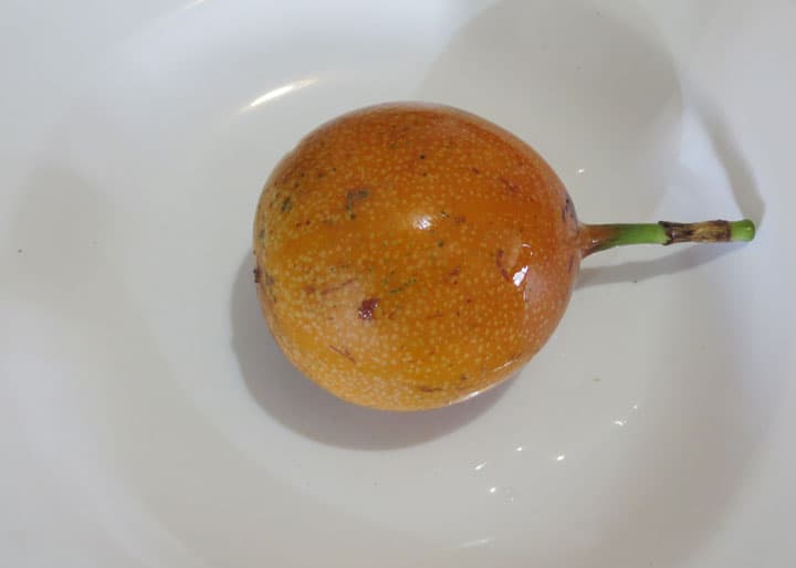 Granadilla-fruit-Ecuador