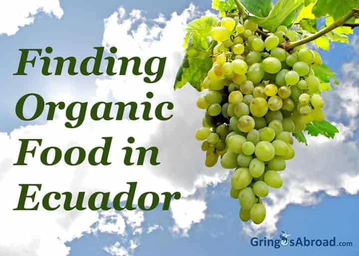 ecuador organic food