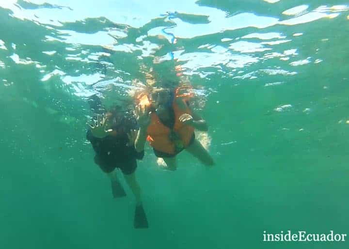 galapagos snorkeling 