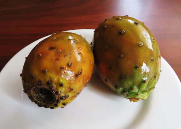 Prickly pear fruit Ecuador