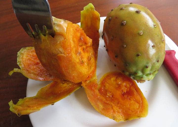 preparing-prickly-pear-cactus-fruit