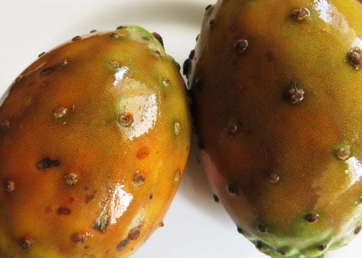 prickly pear cactus fruit