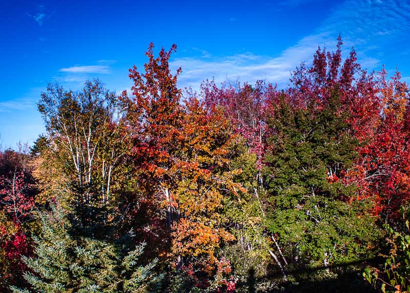 annapolis valley autumn colours