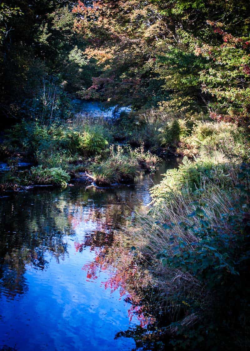 nova scotia creek in fall