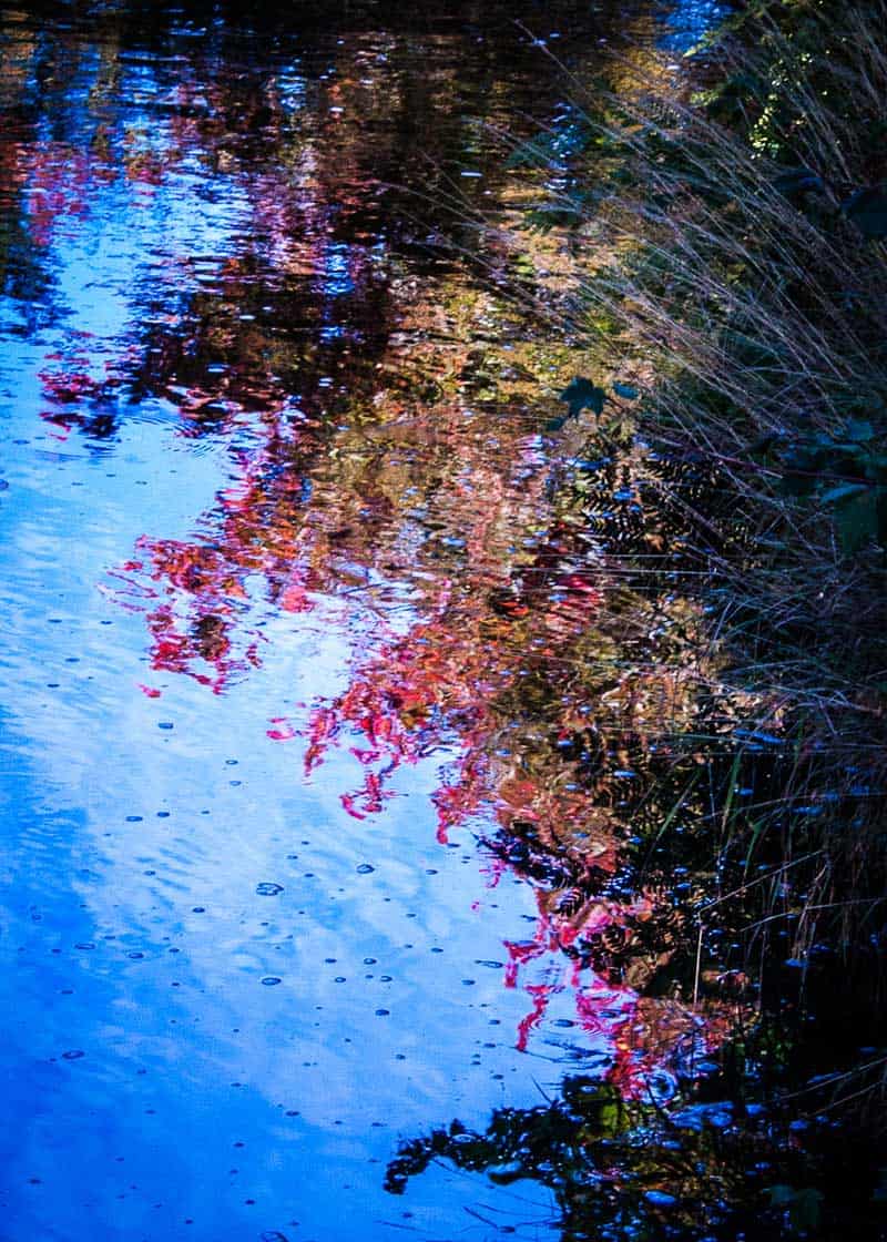 reflected autumn colors