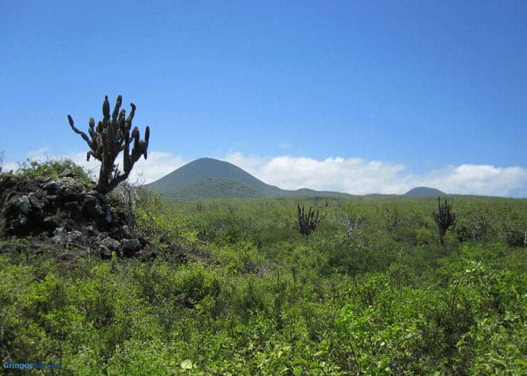 Landscape of the Galapagos Islands