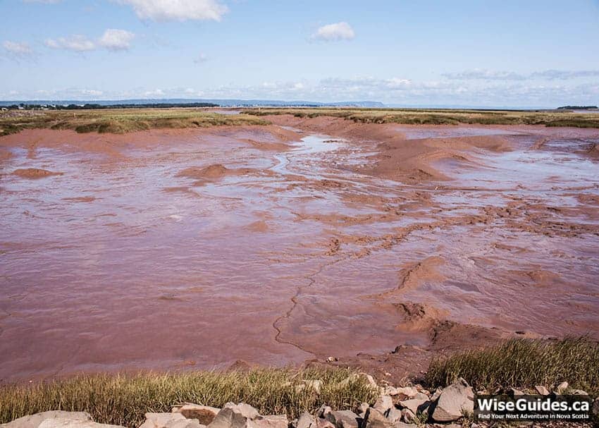 Videos of the Bay of Fundy Tides
