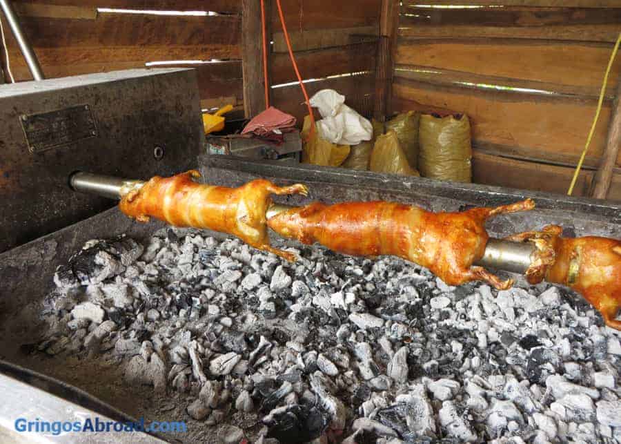 Ecuador cuy roasting on a charcoal grill