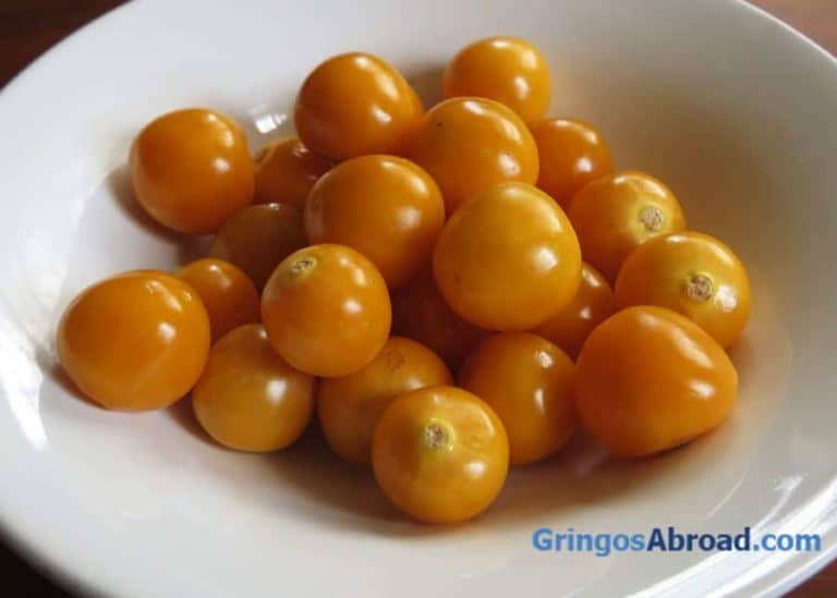 13 Tasty Facts About Golden Berries: Andean Uvilla Fruit