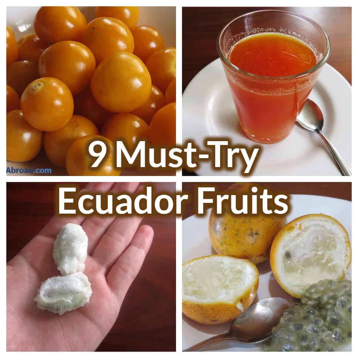 Ecuador fruits