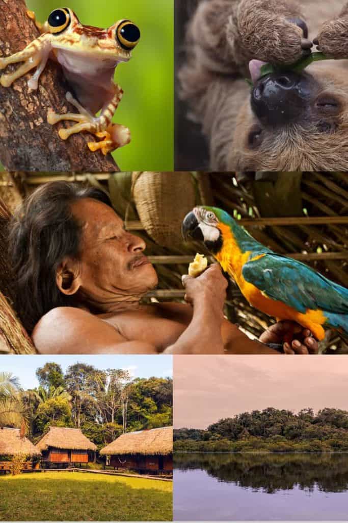 8 Things You Should Know about the Ecuador Amazon