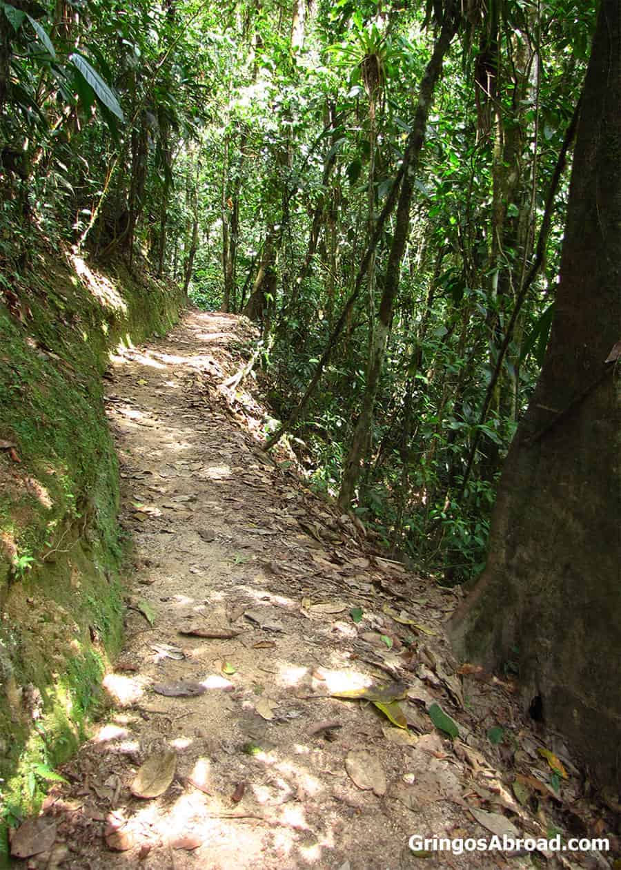 Hiking in Podocarpus National Park