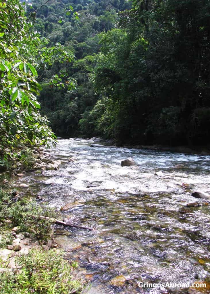 River in Podocarpus National Park Ecuador