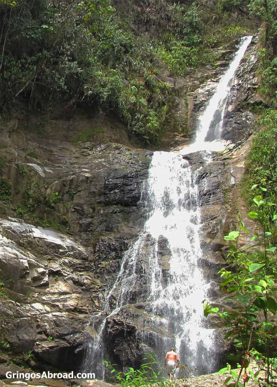 Waterfall at Podocarpus National Park Ecuador
