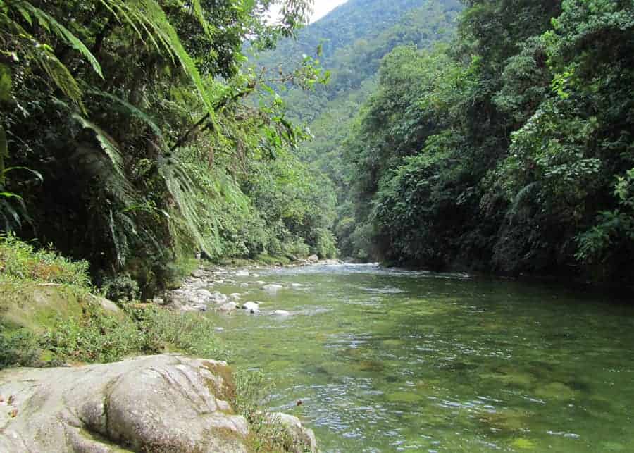 beautiful river in Podocarpus National Park Ecuador