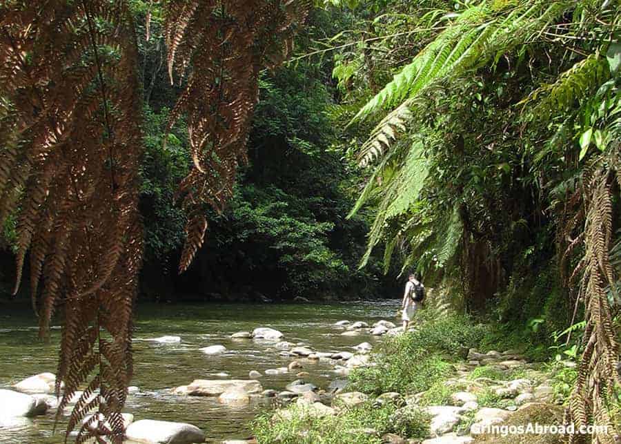 hiking by rivers in Podocarpus National Park Ecuador