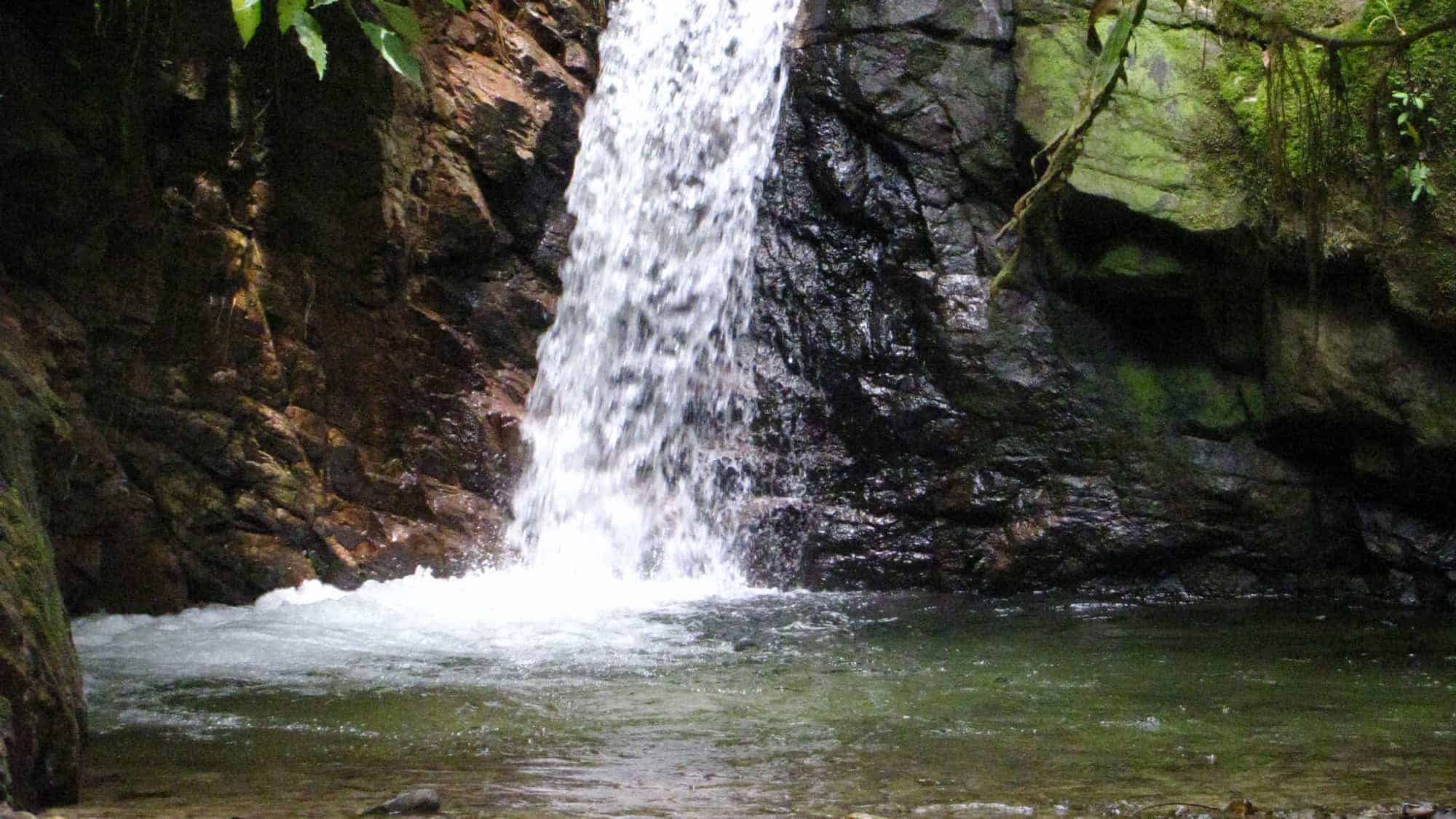Podocarpus National Park Ecuador Waterfall