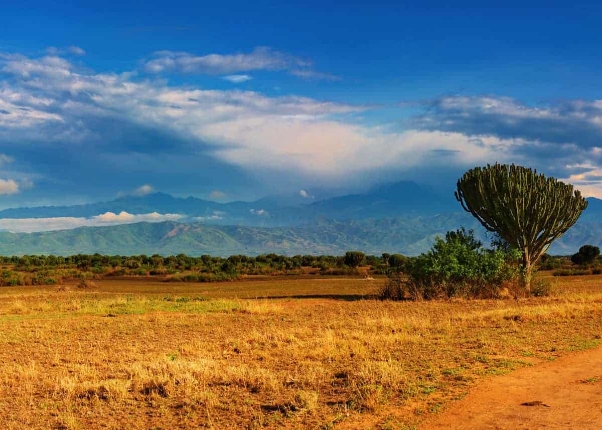 Queen Elizabeth National Park Uganda 