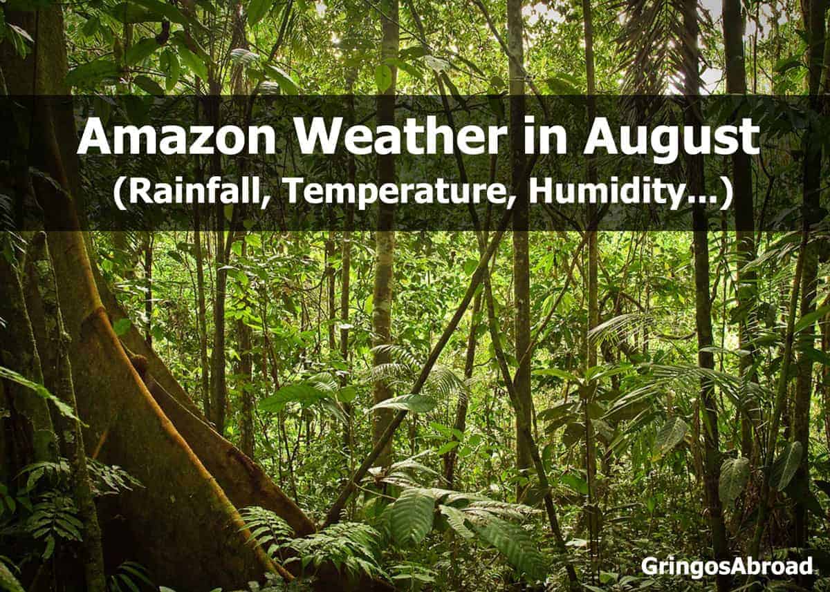 amazon weather in august