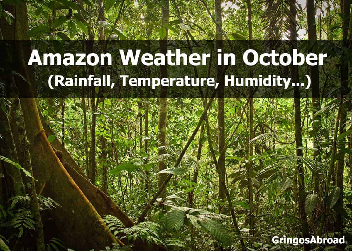amazon weather in october
