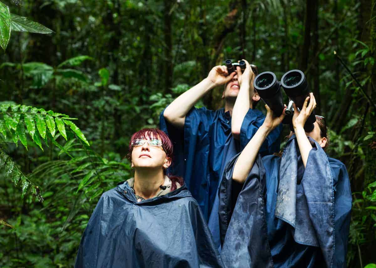 Best binoculars for African safari