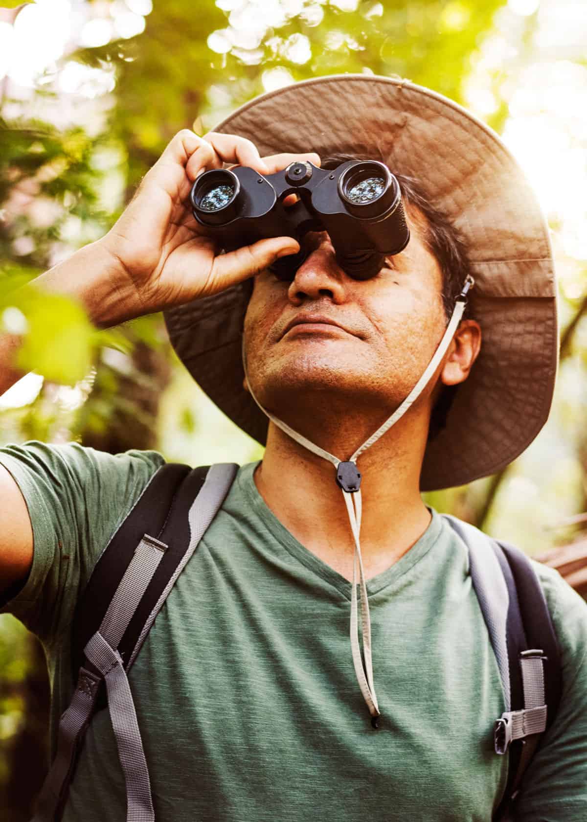 Best safari binoculars for the money