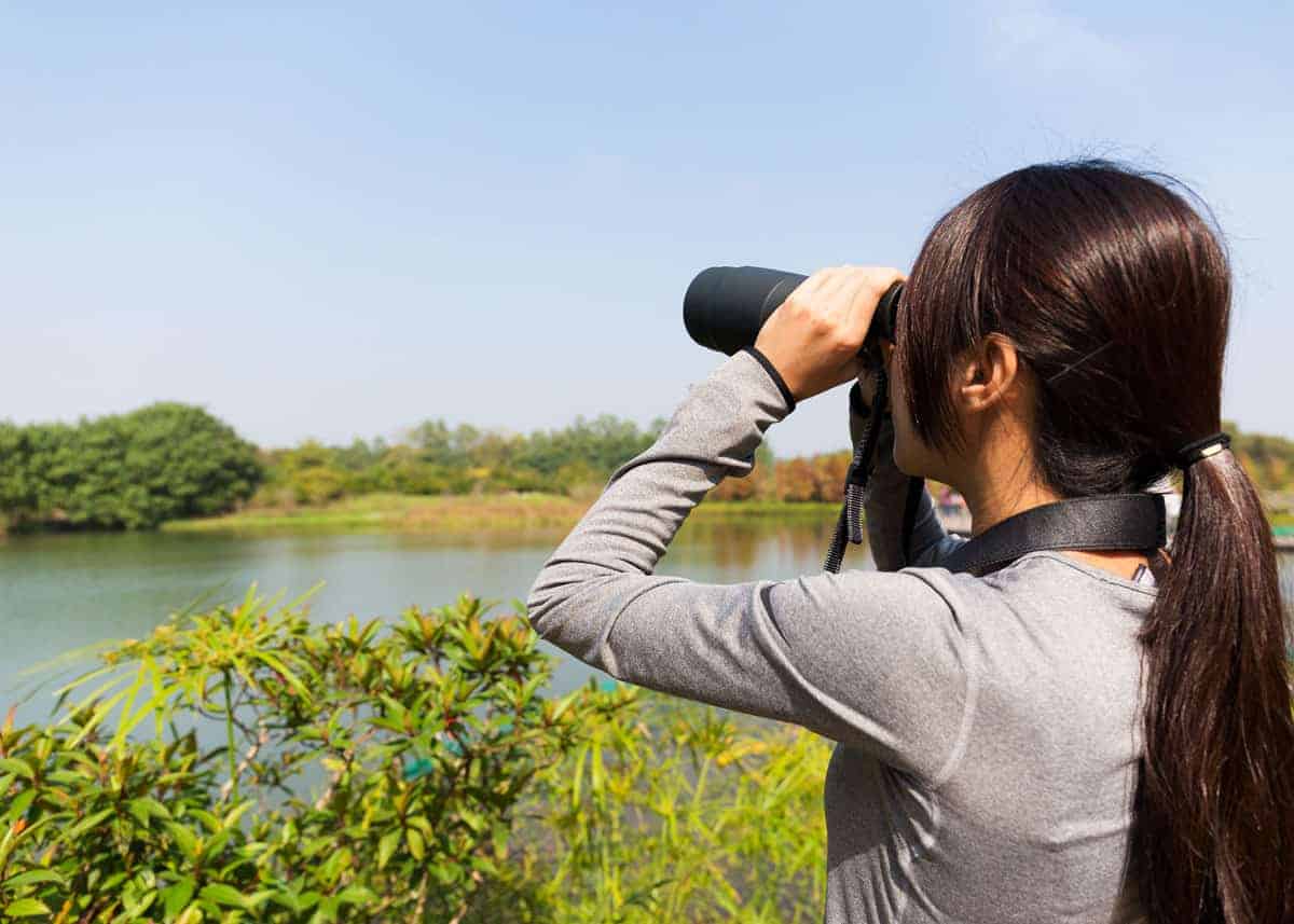 Best compact binoculars for safari