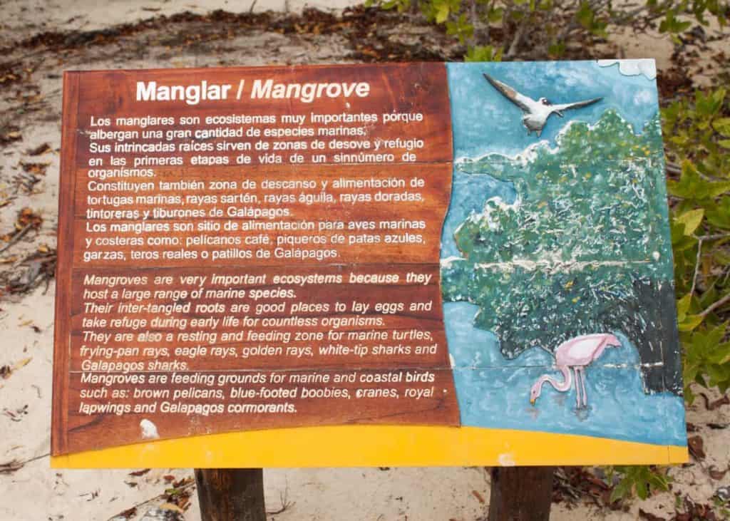 Mangrove sign at Tortuga Bay Ecuador