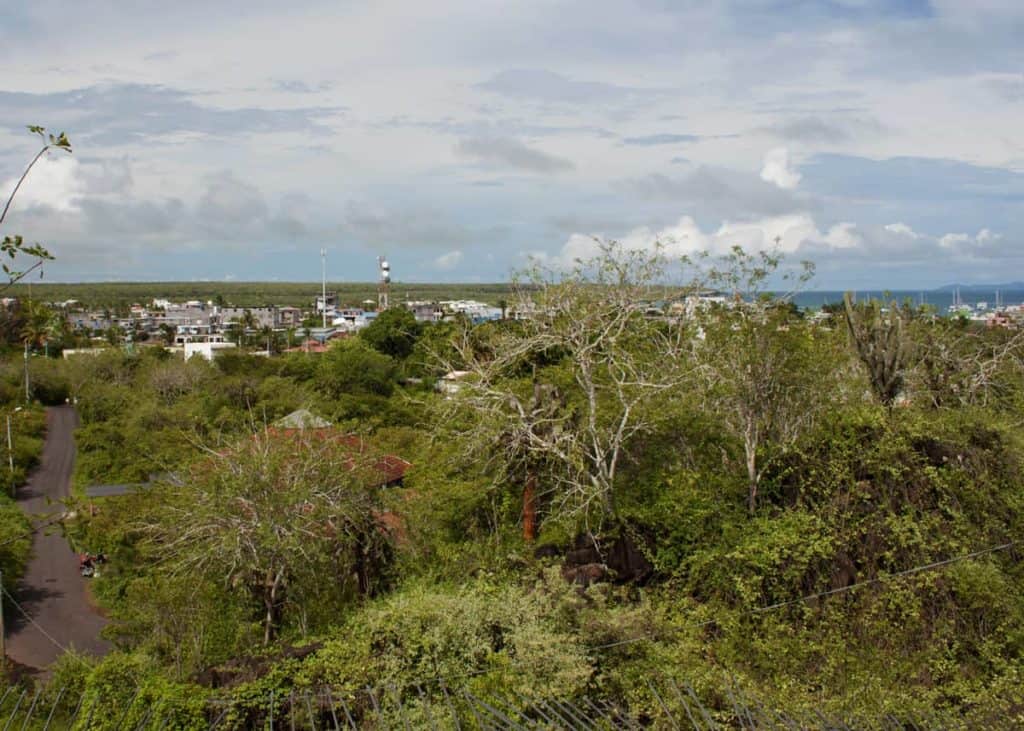 Puerto Ayora, Santa Cruz, Galapagos