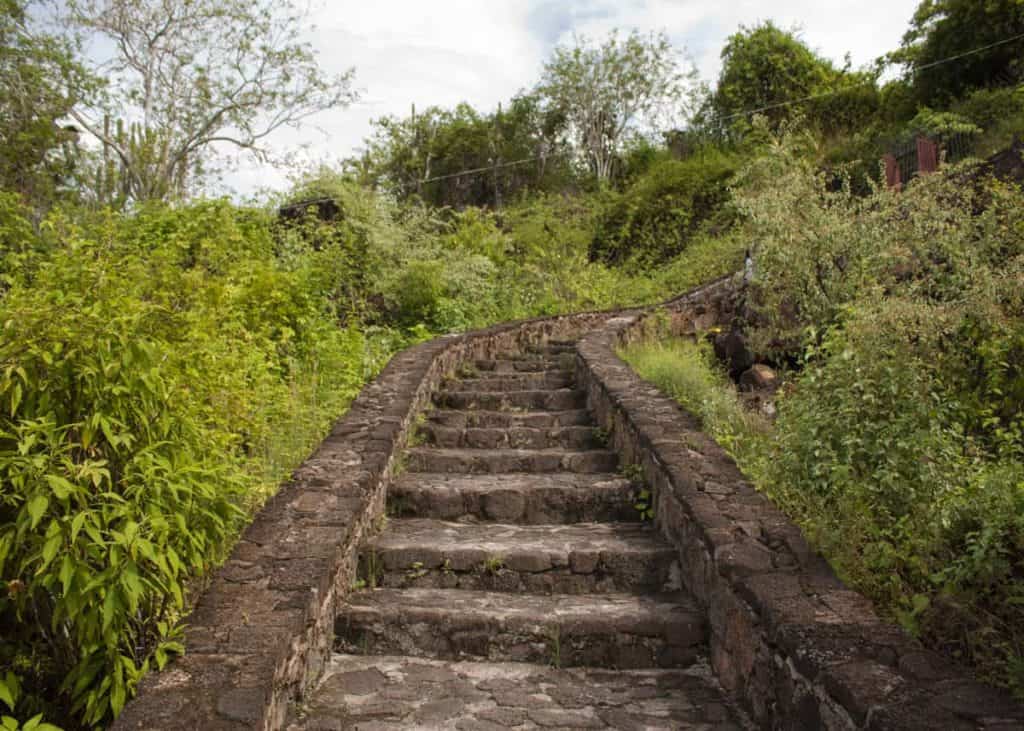 Stairs leading to Tortuga Bay trail