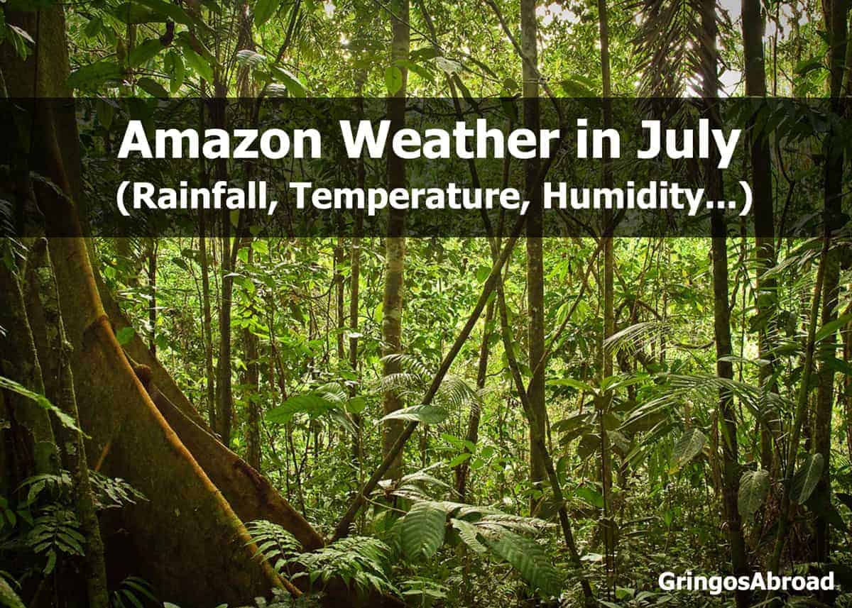 amazon weather in july