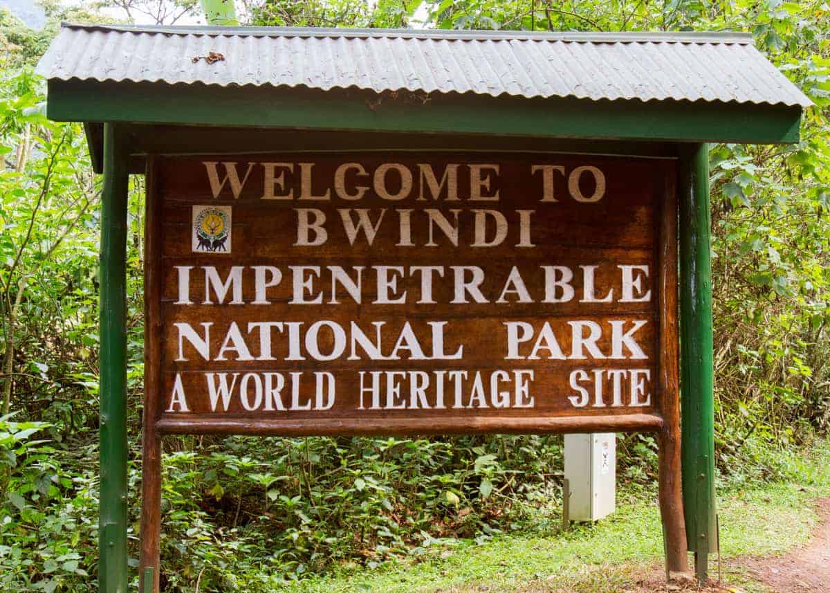 Bwindi Impenetrable National Park Uganda