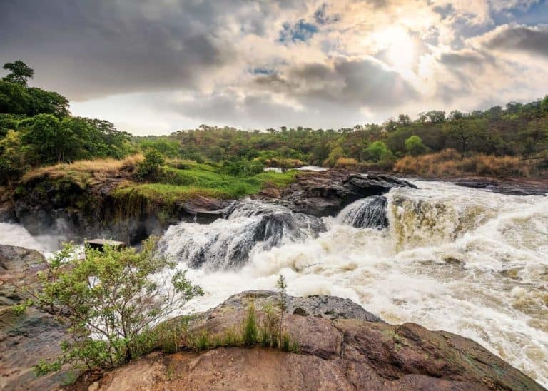 Guide to Murchison Falls Uganda: 16 Things You Need to Know
